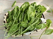 Spinach leaves in a basket
