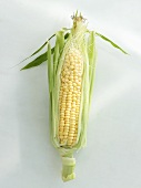 A corn cob