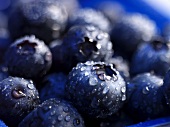 Blueberries with drops of water (close-up)