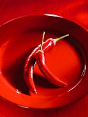 Two red chillies on red plate