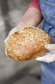Countrywoman holding freshly baked wholemeal bread