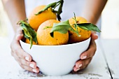 Hände halten eine Schale mit frischen Orangen