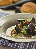 Mussels in Asian stock