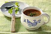 Spicy tomato soup with coriander and chilli