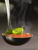 Ladle full of tomato soup with basil