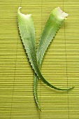 Aloe vera leaves