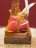 Small chocolate torte with raspberries & caramel shards