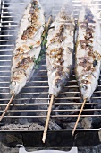 Steckerlfische (skewered fish) on barbecue rack