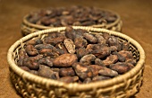 Cocoa beans in baskets