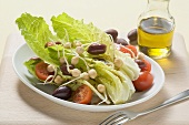 Romaine lettuce with olives and chick-pea sprouts