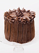 Chocolate cake on cake stand