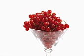 Fresh redcurrants in a glass
