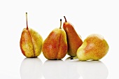 Four Forelle pears side by side