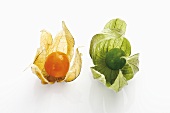 One orange and one green physalis