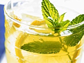 Lemonade with mint (close-up)