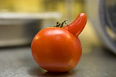 Tomato with nose