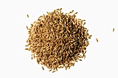 Triticale von oben