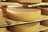 Bergkäse cheese (Alpine cheese) on wooden shelves