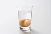 Egg freshness test: a fresh egg sinks to a horizontal position