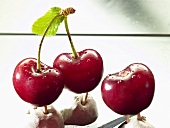 Fresh cherries with stalks and leaf