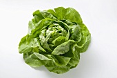 Lettuce