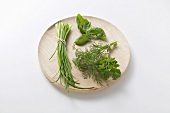 Chives, basil, dill and parsley