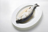 Steamed trout