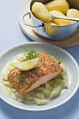 Salmon fillet with cucumber ragout