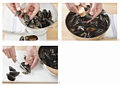 Cleaning mussels
