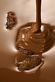 Rosinen mit Schokolade überziehen