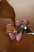 Pouring melted chocolate over grapes