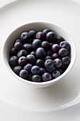 Blueberries in white bowl