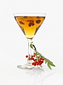Martini with cranberries