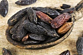 Tonka beans in a wooden spoon