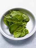 Fresh baby spinach in metal dish