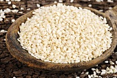White sesame seeds on a wooden spoon