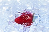 Strawberry in a block of ice