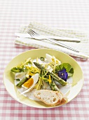 Frühlingssalat mit Spargel und Ei