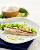 Sea bass fillet with salad garnish