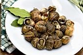 Snails with pine nuts