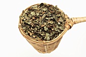 Dried asarabacca leaves (Asarum europaeum) in tea strainer