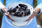 Woman holding mussels in colander