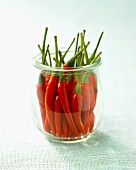Red chillies in a preserving jar