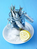 Sardines in a preserving jar with sea salt and lemon