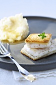 Marlin fillet on toast with mashed potato