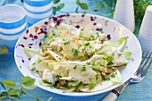 Chicory, Roquefort and apple salad