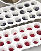 Making berry ice cubes