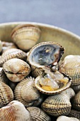 Cockles, one opened, in bowl