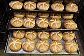 Bread rolls on baking trays