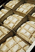 Unbaked Kosakenbrot (Cossack bread) in a baking tin